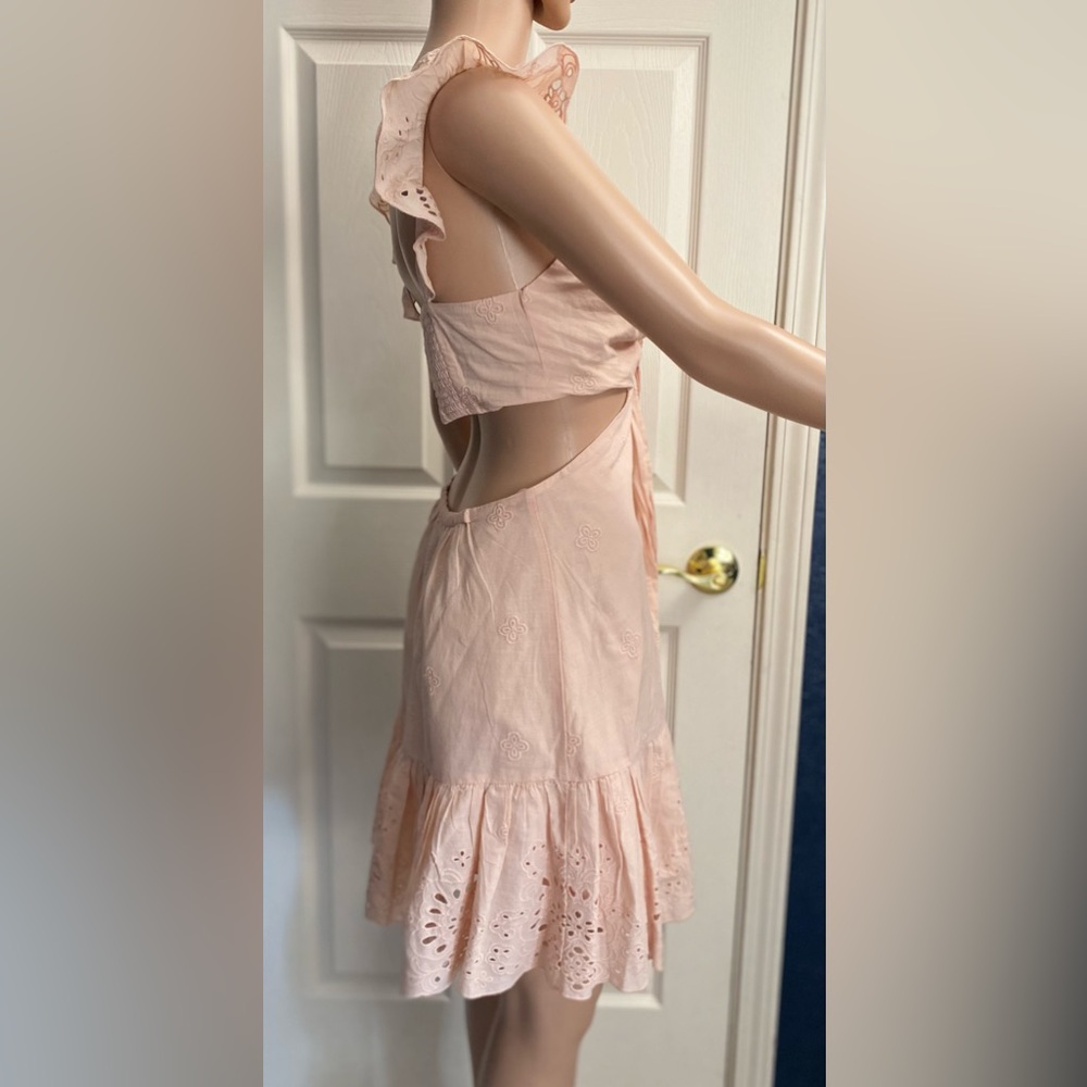 Express Light Pink Ruffle Mini Dress - Picture 4 of 8